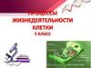 Процессы жизнедеятельности клетки. 5 класс