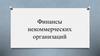 Финансы некоммерческих организаций