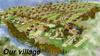 Our village
