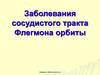 Заболевания сосудистого тракта, флегмона орбиты. Лекция 5