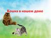 Кошка в нашем доме