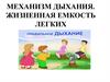 Механизм дыхания. Жизненная емкость легких