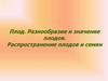 Плод. Разнообразие и значение плодов. Распространение плодов и семян