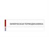 Химическая термодинамика