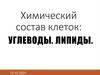Углеводы. Липиды. Химический состав клеток