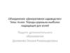 Аллея. Породы деревьев наиболее подходящие для аллей