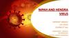 Nipah аnd Hendra Virus