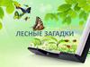 Лесные загадки