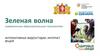 Зеленая волна современным образовательным технологиям: интерактивные видеостудии, интернет вещей