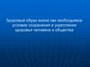 Здоровый образ жизни как необходимое условие сохранения и укрепления здоровья человека и общества