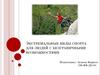 Экстремальные виды спорта для людей с безграничными возможностями
