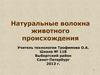 Натуральные волокна животного происхождения