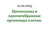 Цитоплазма и одномембранные органоиды клетки