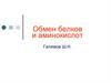 Обмен белков и аминокислот