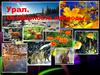 Природа Урала