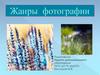 Жанры фотографии