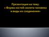 Форма костей скелета человека и виды их соединения