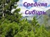 Средняя Сибирь
