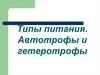 Типы питания. Автотрофы и гетеротрофы