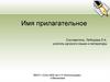 Имя прилагательное. Падеж. Род