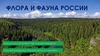 Флора и фауна России