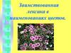 Заимствованная лексика в наименованиях цветов