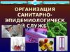 Организация санитарно- эпидемиологической службы