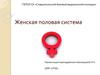 Женская репродуктивная система