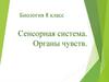 Сенсорная система. Органы чувств