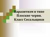 Паразитизм в типе Плоские черви. Класс Сосальщики