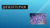 Дизентерия