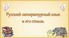 Русский литературный язык и его стили