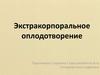 Экстракорпоральное оплодотворение (ЭКО)