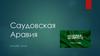 Саудовская Аравия. Правовая система
