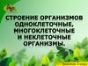 Одноклеточные и многоклеточные организмы