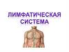 Лимфатическая система