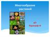 Многообразие растений