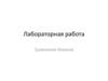 Сравнение биомов.  Лабораторная работа