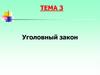 Уголовный закон