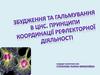 Збудження та гальмування в ЦНС. Принципи координації рефлекторної діяльності