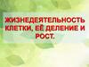 Жизнедеятельность клетки, её деление и рост