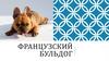 Французский бульдог
