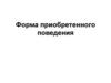 Форма приобретенного поведения. Лекция 3