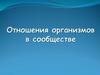 Отношения организмов в сообществе