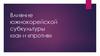 Влияние южнокорейской субкультуры. «За» и «против»
