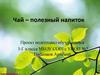 Чай – полезный напиток