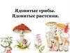 Ядовитые грибы. Ядовитые растения