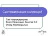 Систематизация коллекций. Тип Членестоногие. Класс Насекомые 5-8 отряд жесткокрылые