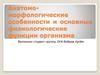 Анатомо - морфологические особенности и основные физиологические функции организма