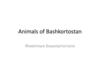 Животные Башкортостана. Animals of Bashkortostan